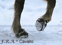 CAVALLO STUDS MET SLEUTEL 